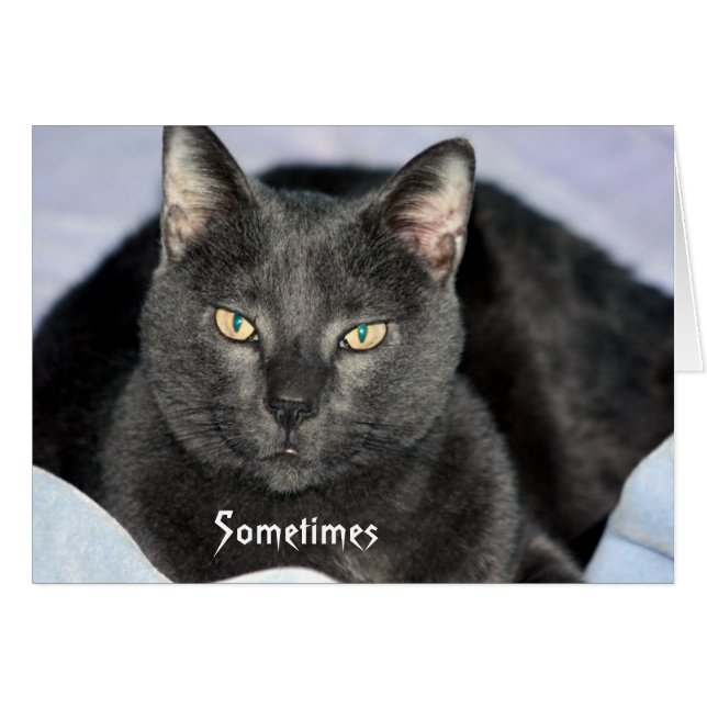 Funny Shake meine Kopfkarte (Vorderseite (Horizontal))