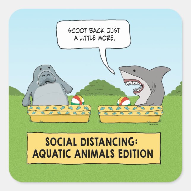 Funny Shark and Manate Social Distancing Quadratischer Aufkleber (Vorderseite)