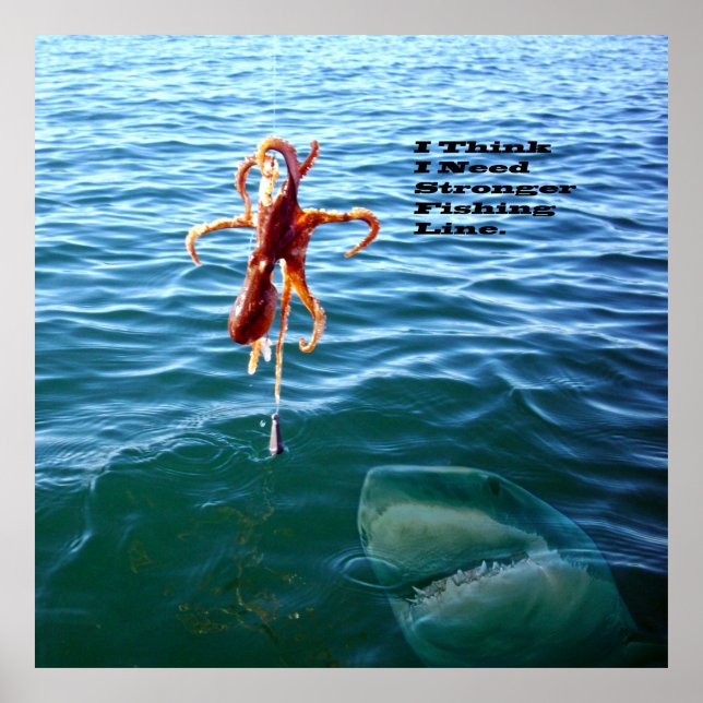 Funny Shark Will Octopus, Poster (Vorne)