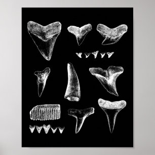 Funny Shark Zähne Design für Männer Frauen Hais Zä Poster