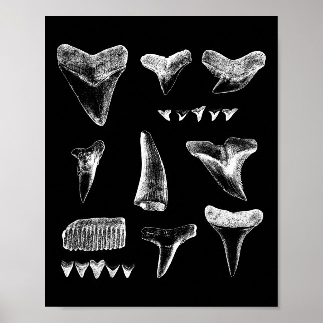 Funny Shark Zähne Design für Männer Frauen Hais Zä Poster (Vorne)