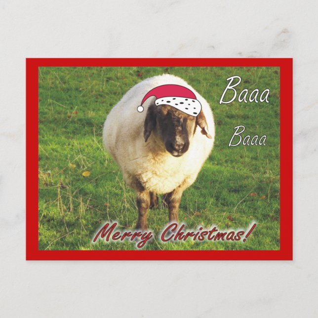 Funny Sheep Christmas Postcard Feiertagspostkarte (Vorderseite)