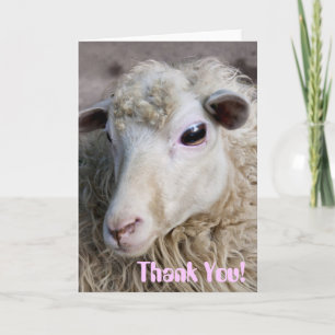 Funny Sheep Dankeskarte