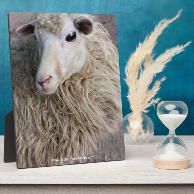 Funny Sheep Fotoplatte (Seite)