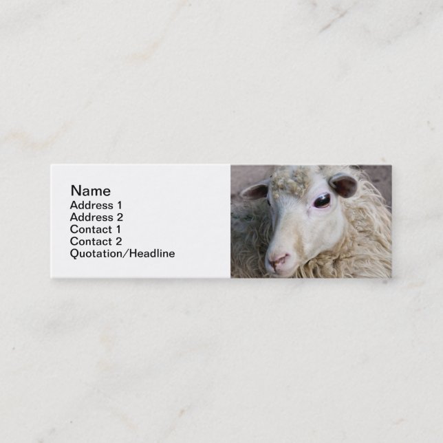 Funny Sheep Mini Visitenkarte (Vorderseite)