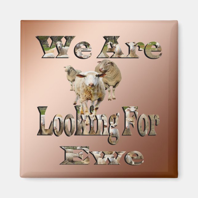 Funny Sheep Puve sucht Ewe, Kühlschrankmagnet Magnet (Vorne)