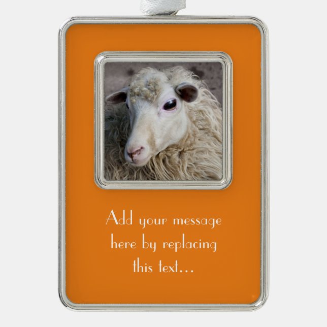 Funny Sheep Rahmen-Ornament Silber (Vorderseite)
