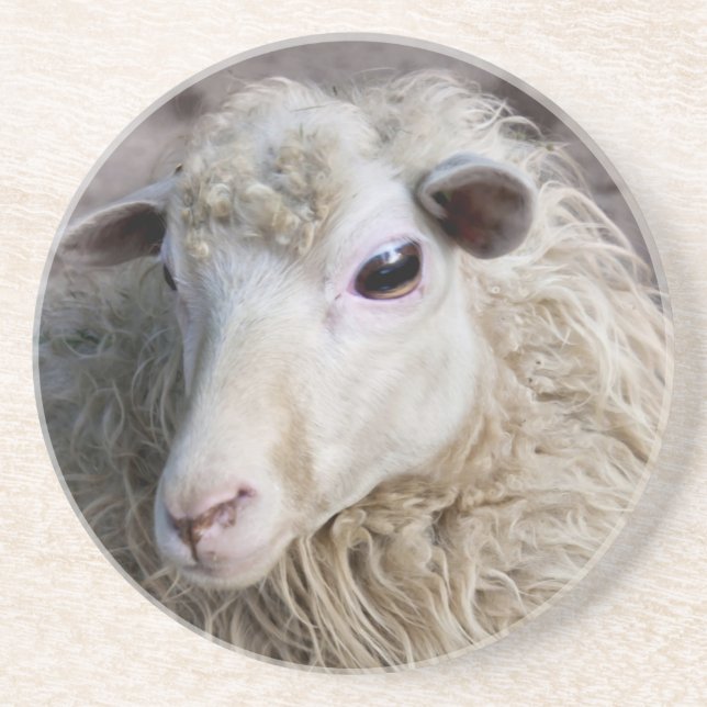 Funny Sheep Sandstein Untersetzer (Vorne)