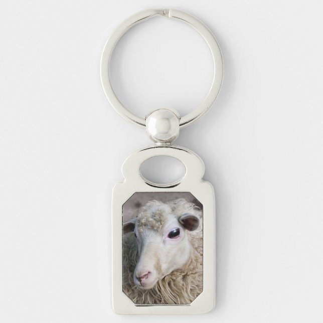 Funny Sheep Schlüsselanhänger (Vorderseite)