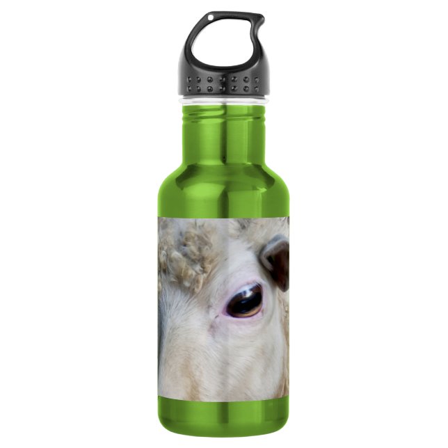 Funny Sheep Trinkflasche (Vorderseite)