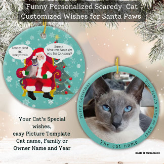 Funny Siamese Katze Besuchen Santa mit Unglaublich Keramik Ornament