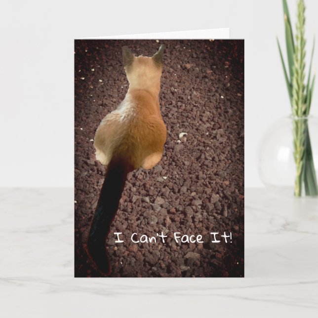 Funny Siamese Kitten Hintern Foto Belated Birthday Karte (Vorderseite)