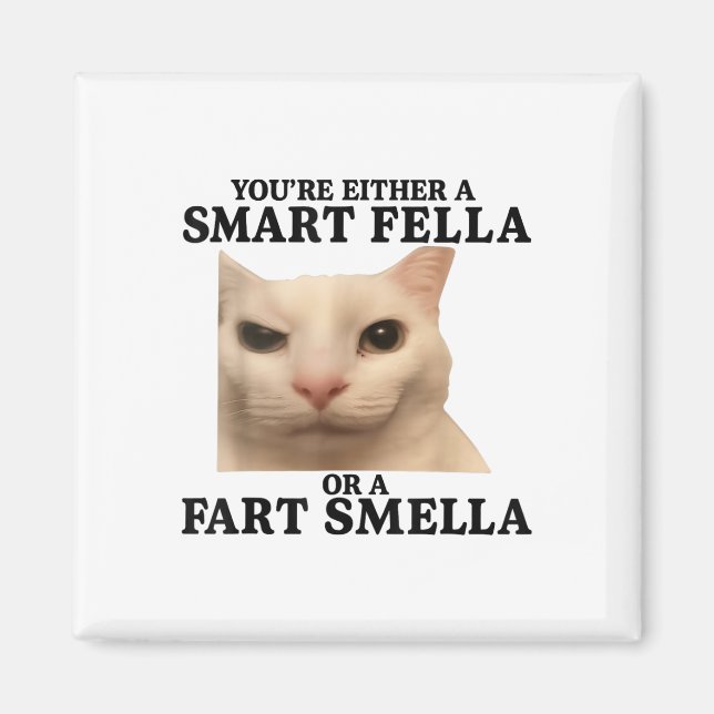 Funny Sie entweder eine Smart Fella oder eine Furz Magnet (Vorne)