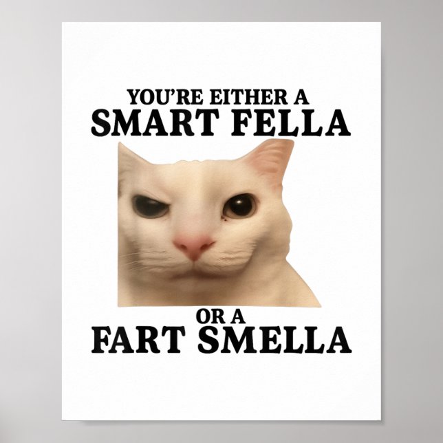 Funny Sie entweder eine Smart Fella oder eine Furz Poster (Vorne)