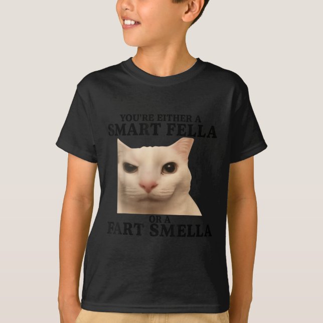 Funny Sie entweder eine Smart Fella oder eine Furz T-Shirt (Vorderseite)