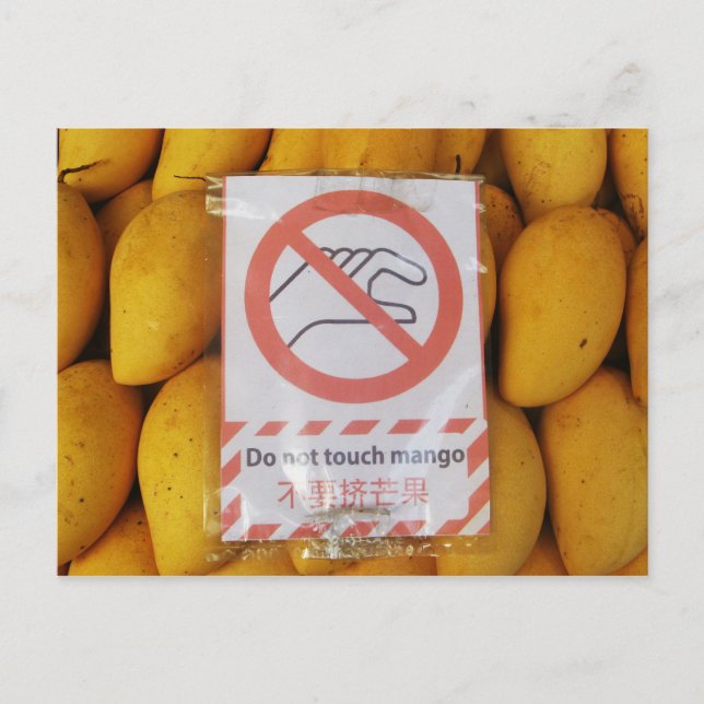 Funny Sign 'Do not Touch mango' Postkarte (Vorderseite)