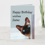 Funny Sister Birthday wünscht Siamese Cat Animal Karte<br><div class="desc">Funny Sister Birthday wünscht Siam Cat Animal Spaß Sie auf.   Ideal für diese Schwester in Ihrem Leben mit einem Gefühl von Spaß,  einer Liebe von Katzen und einem Geburtstag</div>