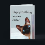 Funny Sister Birthday wünscht Siamese Cat Animal Karte<br><div class="desc">Funny Sister Birthday wünscht Siam Cat Animal Spaß Sie auf.   Ideal für diese Schwester in Ihrem Leben mit einem Gefühl von Spaß,  einer Liebe von Katzen und einem Geburtstag</div>