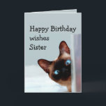 Funny Sister Birthday wünscht Siamese Cat Animal Karte<br><div class="desc">Funny Sister Birthday wünscht Ihnen einen Siamkatzen Spaß. Ideal für diese Schwester in Ihrem Leben mit einem Gefühl von Spaß,  einer Liebe von Katzen und einem Geburtstag</div>