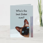 Funny Sister Birthday wünscht Siamese Cat Karte<br><div class="desc">Funny Sister Birthday wünscht Siam Cat Animal Spaß Sie auf.   Ideal für diese Schwester in Ihrem Leben mit einem Gefühl von Spaß,  einer Liebe von Katzen und einem Geburtstag</div>