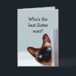 Funny Sister Birthday wünscht Siamese Cat Karte<br><div class="desc">Funny Sister Birthday wünscht Ihnen einen Siamkatzen Spaß. Ideal für diese Schwester in Ihrem Leben mit einem Gefühl von Spaß,  einer Liebe von Katzen und einem Geburtstag</div>