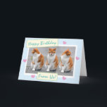 Funny Sky Blue vom Cats Foto Happy Birthday Karte<br><div class="desc">Wünschen Sie jemanden besonders die glücklichsten Geburtstage mit dieser Funny Sky Blue From The Cats Custom Foto Personalisiert Happy Birthday Card From Zazzle! Erhältlich in verschiedenen Größen und Papiertypen. Verkauf mit oder ohne Umschläge mit der Karte oder in Mengen von zwei oder mehr. Kaufen Sie es so, wie es ist...</div>