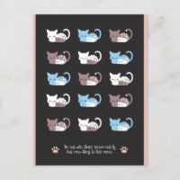 Funny sleeping cat quotes II postcard