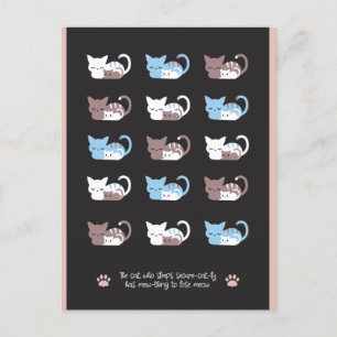Funny sleeping cat quotes II postcard Postkarte