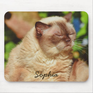 Funny Sleepy Cat&For Kitten Liebhaber Mousepad
