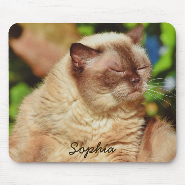 Funny Sleepy Cat&For Kitten Liebhaber Mousepad (Vorne)