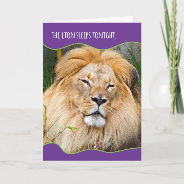 Funny Sleepy Lion Birthday Karte (Vorderseite)