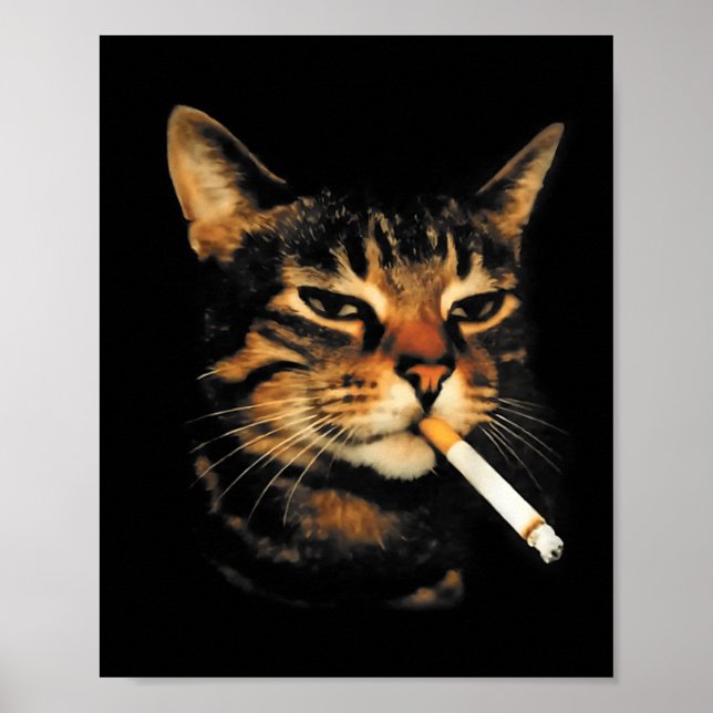 Funny Smoking Cat Cigarette Kitten Meme Stupid Bra Poster (Vorne)