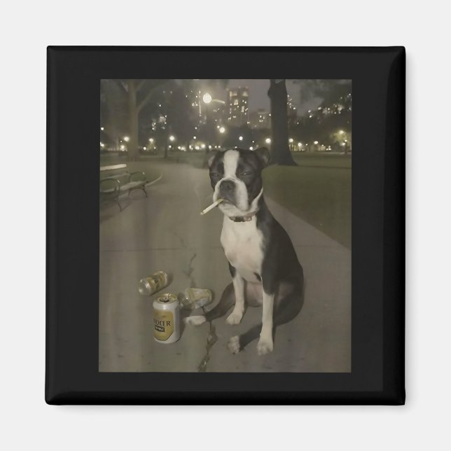 Funny Smoking Dog Meme Cigarette Gen Z Meme Dog Lo Magnet (Vorne)