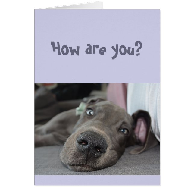 Funny Social Distance Miss You Great Dane Hund (Vorne)