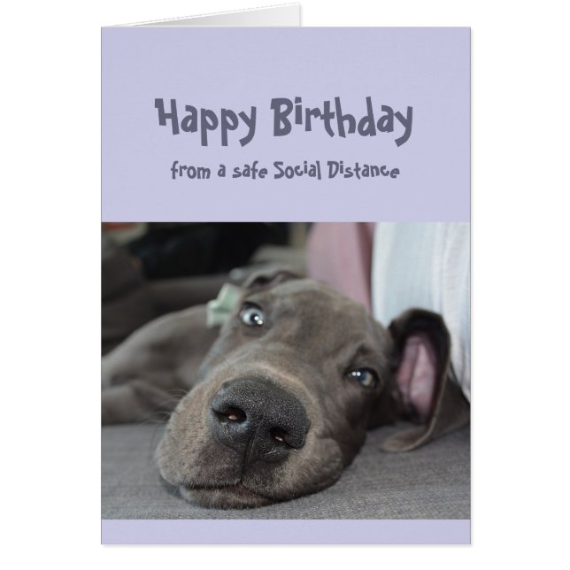 Funny Social Distancing Birthday Great Dane Dog (Vorne)
