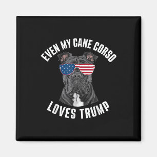 Funny sogar meine Cane Corso Lieben Trump politisc Magnet