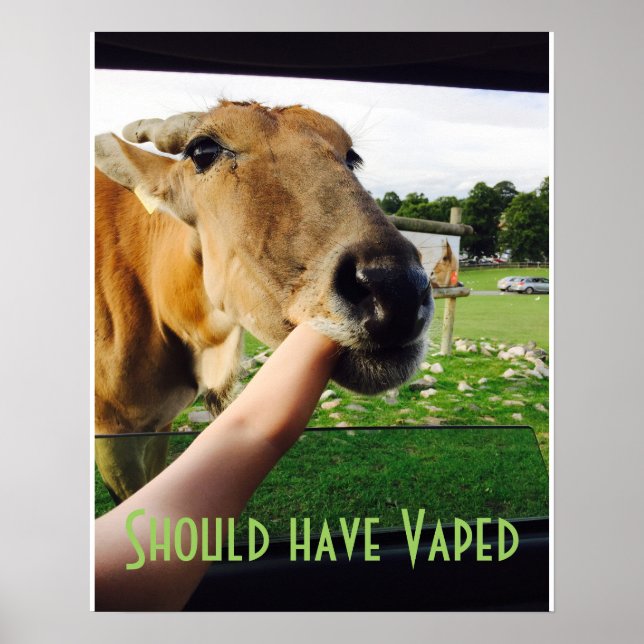 Funny sollte Vaped Poster haben (Vorne)