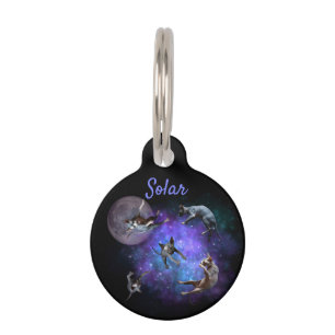 Funny Space Sphynx Katzen Floating Galaxy Katze Haustiermarke