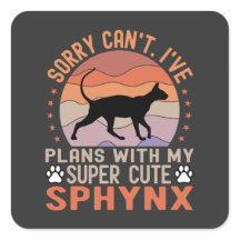 Funny Sphynx Besitzer hat Pläne für Sphynx Cat