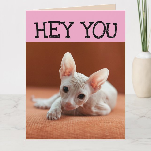 FUNNY SPHYNX CAT BIG BIRTHDAY GREETING CARD KARTE (Vorderseite)