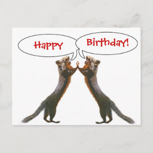Funny Squirrel Birthday Postcard Postkarte