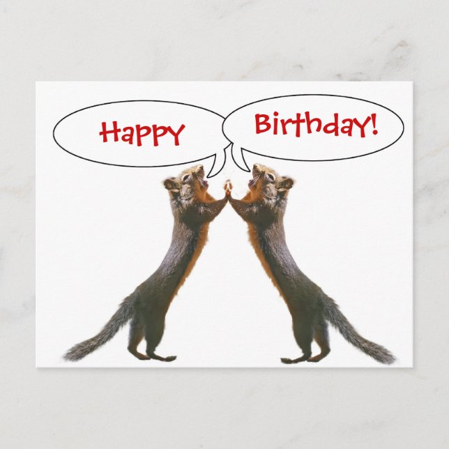 Funny Squirrel Birthday Postcard Postkarte (Vorderseite)