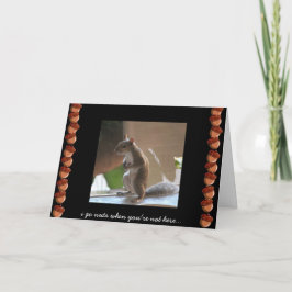 Funny Squirrel Card, Miss You, Go Nuts Karte