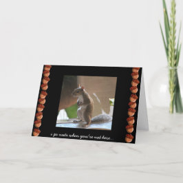Funny Squirrel Card, Miss You, Go Nuts Karte