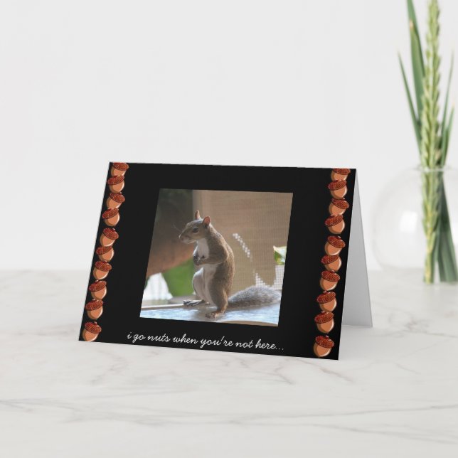 Funny Squirrel Card, Miss You, Go Nuts Karte (Vorderseite)