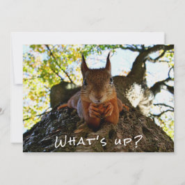 Funny Squirrel Cute Animals Hello There from Hi Feiertagskarte