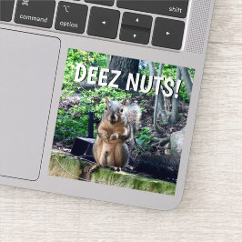 Funny Squirrel Deez Nuts Adult Humor Laptop Aufkleber
