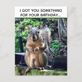 Funny Squirrel Deez Nuts Unangemessen Geburtstag Postkarte