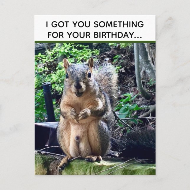 Funny Squirrel Deez Nuts Unangemessen Geburtstag Postkarte (Vorderseite)