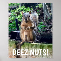 Funny Squirrel Deez Nuts Unangemessener Spaß
